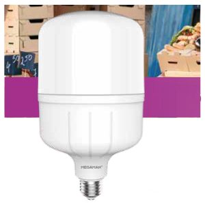 Bóng Led Bulb trụ Megaman YTT80X1 20W HB