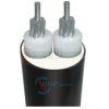 AXV Cadivi 2 lõi 0.6/1kV