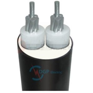 AXV Cadivi 2 lõi 0.6/1kV